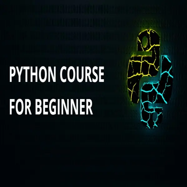Python Course for Beginners - IT & Software Course